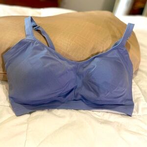 Warner’s 2x blue bralette